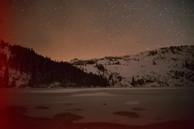 DSC_5988 (Large).JPG